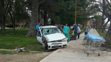 El conductor se desvaneció, perdió el control del auto y terminó arriba de una plaza. (Foto gentileza)