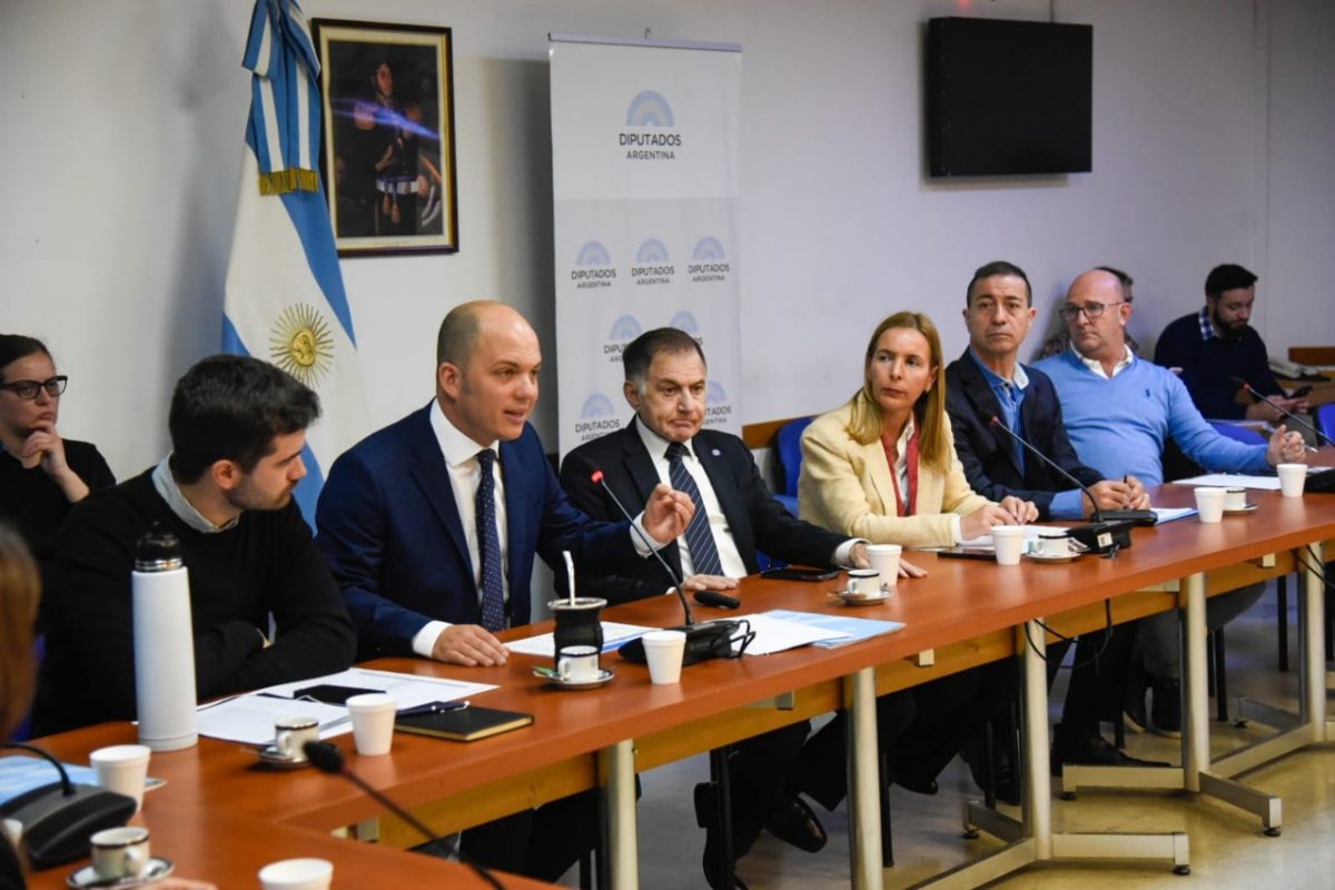 El secretario de municipios expuso en diputados sobre las nuevas implementaciones en los municipios del país