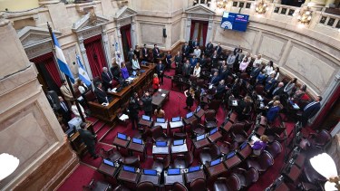 El Senado aprobó el proyecto esta tarde.