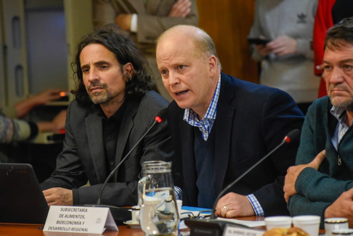 La Comisión de Economías y Desarrollo Regional recibió a representantes de productores, y se presentaron alcances del proyecto de bioeconomía del norte argentino.
