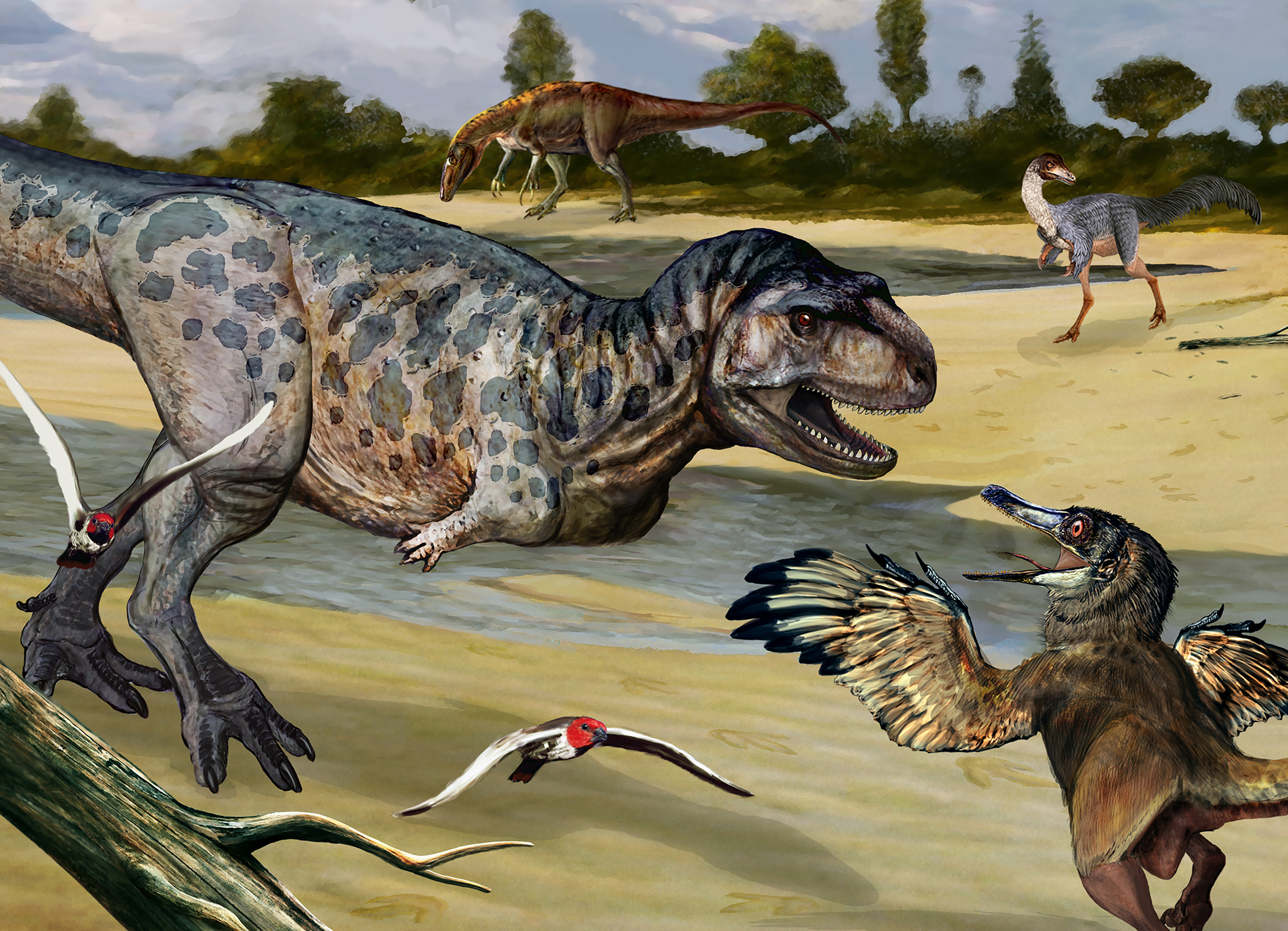 Descubren en Patagonia Norte un nuevo dinosaurio carnívoro que habitó hace  90 millones de años