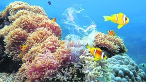 Fracasa un tratado mundial para proteger los océanos