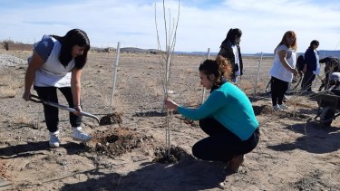 En Maquinchao, la plantación se hizo en forma conjunta entre alumnos, personal del municipio y del Ente. Foto: gentileza. 