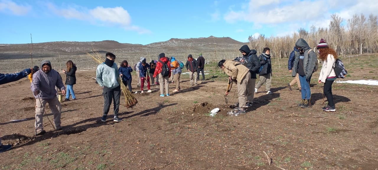 Alumnos y docentes participaron de la plantación. Foto: José Mellado