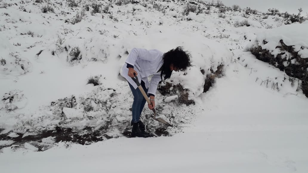Con palas, docentes tuvieron que despejar la nieve del camino para poder ingresar a la Escuela Hogar de Lipetrén Grande. Foto: Gentileza. 