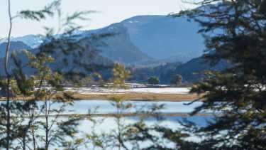 Laguna Rosales atrae a residentes y visitantes con su combinación de naturaleza para explorar y cercanía con la ciudad. Foto: Patricio Rodríguez.