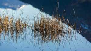 Así llega el primer viernes de primavera: mirá el pronóstico de Río Negro y Neuquén