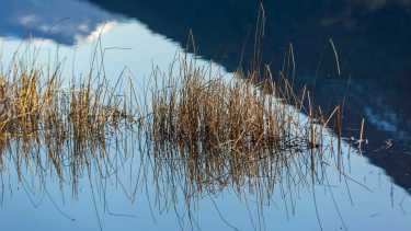 Así llega el primer viernes de primavera: mirá el pronóstico de Río Negro y Neuquén