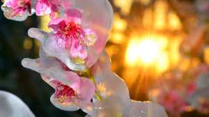 ¡Brrr! A no desabrigarse este viernes: mirá el pronóstico de Río Negro y Neuquén