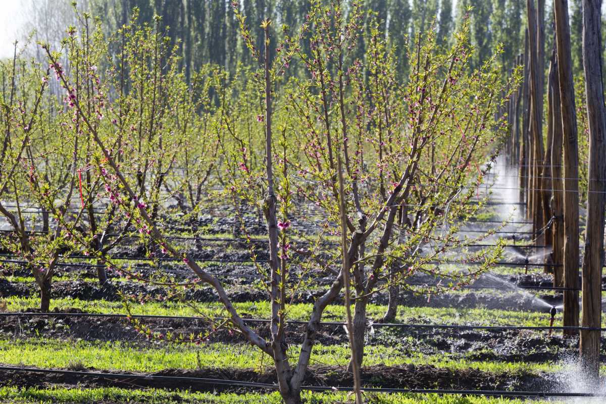 Llega la primavera pero el invierno no se quiere ir: un recorrido en ...