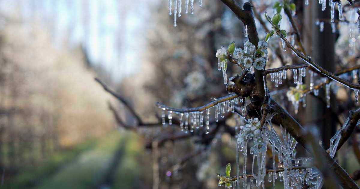 Llega la primavera pero el invierno no se quiere ir: un recorrido en ...