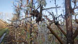 Habilitaron las centrales meteorológicas instaladas para ayudar a productores del Alto Valle