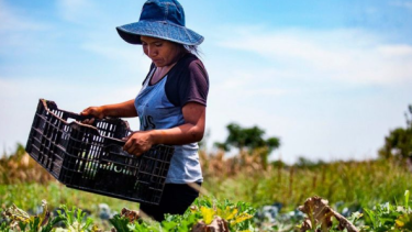 Día del agricultor: avances y retrocesos en una tarea clave