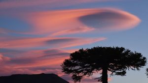 Así termina la semana este viernes: mirá el pronóstico para Río Negro y Neuquén