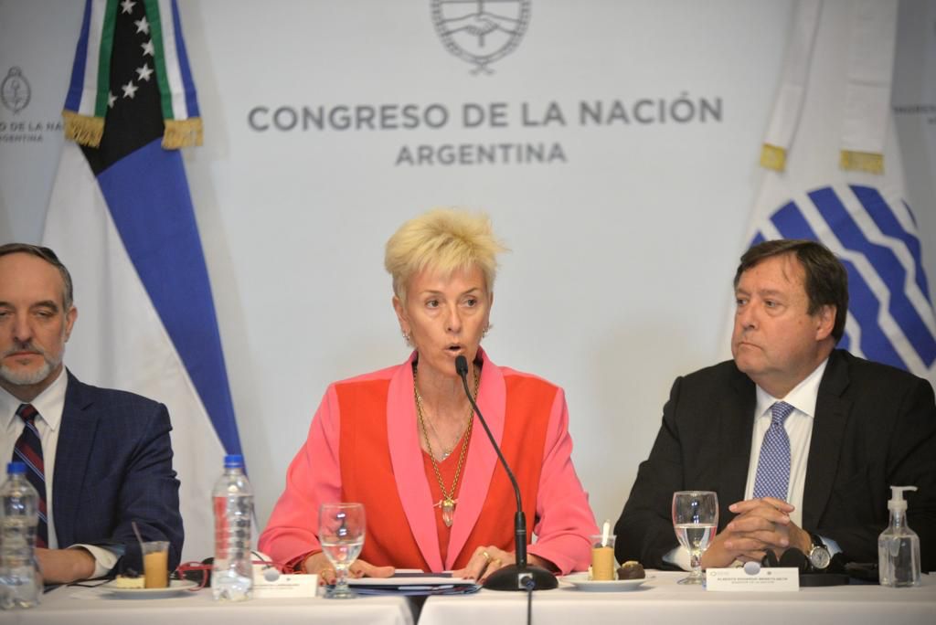 La senadora rionegrina García Larraburu sostiene desde el 2017 que las PASO "son un gasto exorbitante".