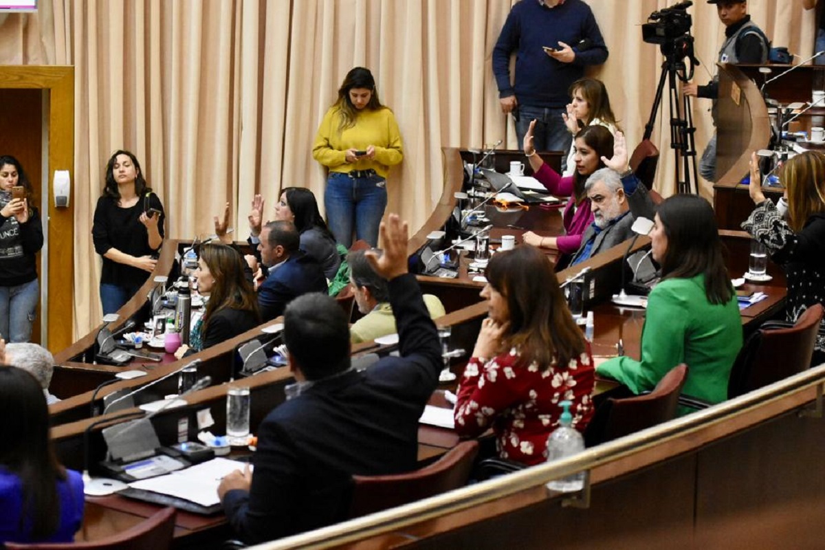 Los diputados aprobaron la declaración por unanimidad. Foto: Matías Subat.