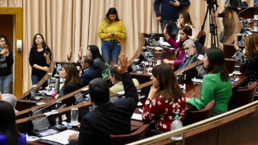 Los diputados aprobaron la declaración por unanimidad. Foto: Matías Subat.