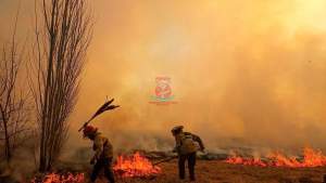 Un colectivo, viviendas y pastizales: seis incendios en un día combatieron bomberos de Roca