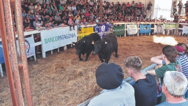 Los precios registrados en promedio marcarán la base para las próximas ventas. Foto Jorge Tanos