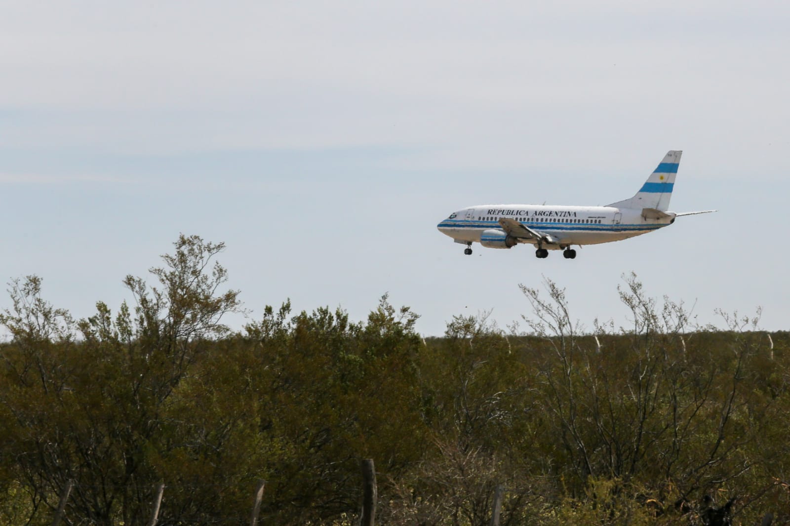 Arribó a la ciudad pasadas las 11:30. Foto Juan Thomes