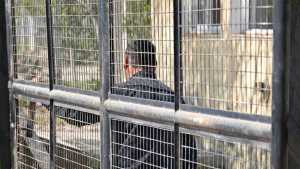 El STJ se metió en el conflicto con los presos de Cipolletti y criticó a todos: juez, fiscalía y defensa