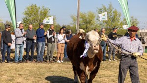Carreras inauguró la muestra rural de Viedma, “con buenas expectativas de crecimiento”