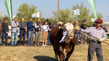 Después de la inauguración por parte de las autoridades, se cumplió con el paseo de los campeones. Foto: Gobierno de Río Negro