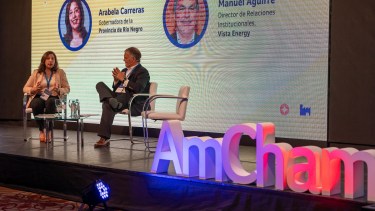 Carreras destacó la tarea sobre hidrógeno verde, pero también se refirió al proyecto de exportación de petróleo por Punta Colorada. Foto: gentileza.