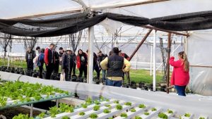 Ofrecen plantines, semillas y productos en el evento del Centro de Formación Agropecuaria de Plottier