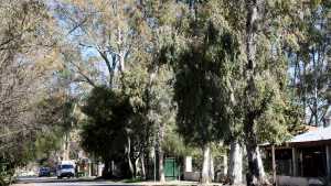 Día del estudiante en Cinco Saltos: quiénes podrán ingresar gratis al Lago Pellegrini