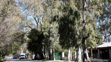 Aseguraron que los visitantes deberán pagar $3000 para entrar. Foto: Archivo (Matías Subat).
