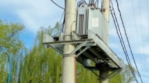Imagen de Una paloma dejó sin energía eléctrica a varios barrios de Roca