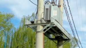 Una paloma dejó sin energía eléctrica a varios barrios de Roca