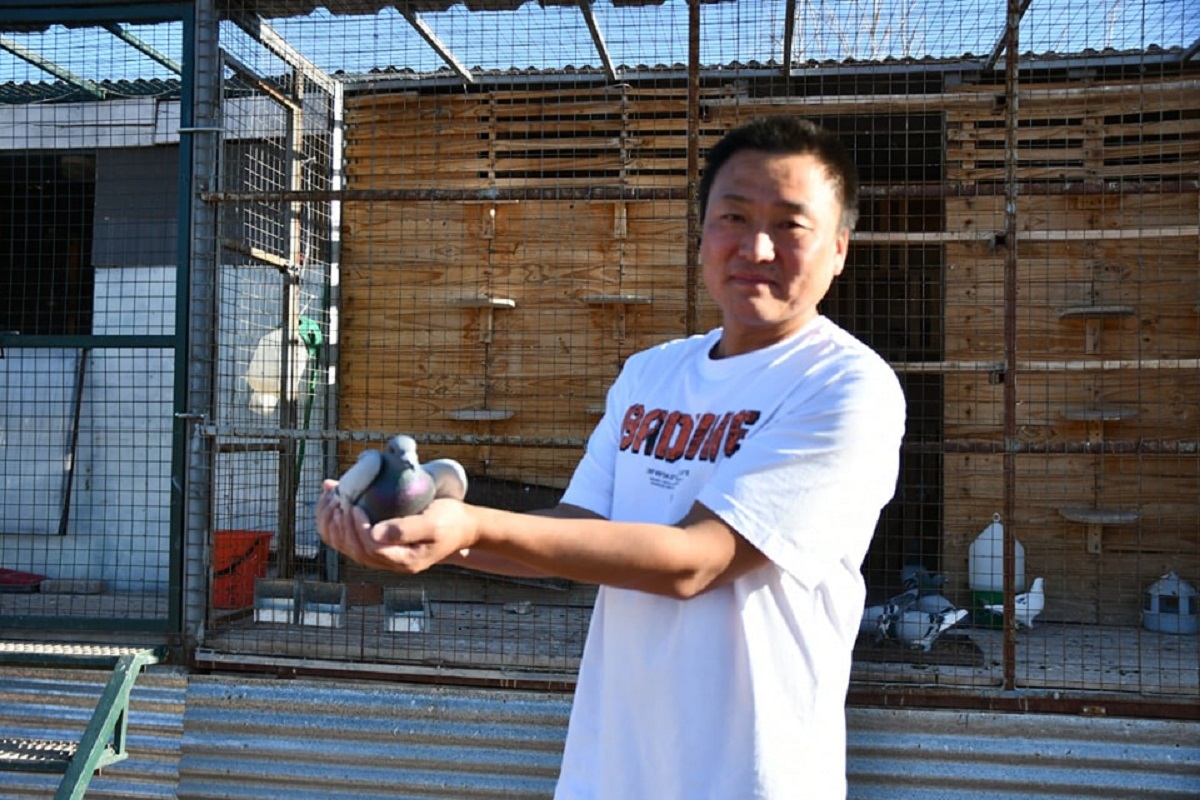 Martín Guan Yue Hua, quien es un apasionado en la cría de palomas, (Municipalidad de Rincón de los Sauces)