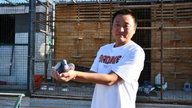 Martín Guan Yue Hua, quien es un apasionado en la cría de palomas, (Municipalidad de Rincón de los Sauces)