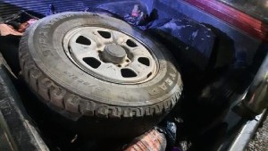 Transportaban 200 kilos de carne sin habilitación y la policía la decomisó en Chichinales