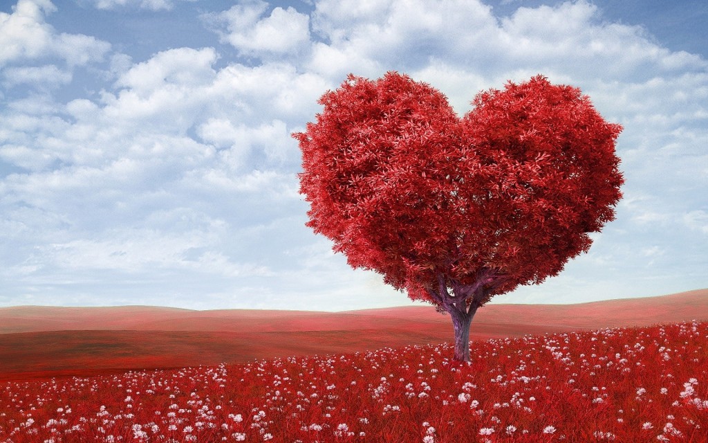 El Día Mundial del Corazón busca concientizar sobre los problemas cardíacos. 