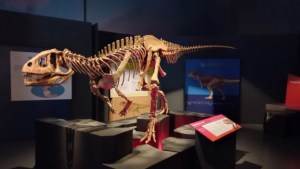 El museo de Trelew llevó a Brasil la muestra Dinosaurios de la Patagonia por el mundo