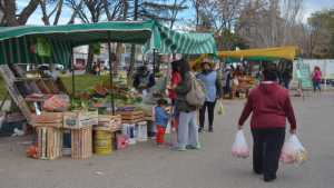 La consolidación de las ferias en Neuquén, números y dimensión de un fenómeno que crece