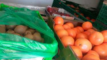 Inédito cargamento de fruta con presencia de larvas en el Alto Valle.