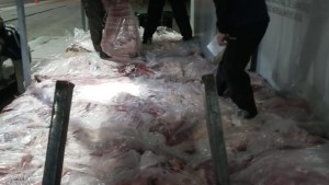 Decomisaron 768 kilos de carne bovina transportada sin cadena frío en Catriel