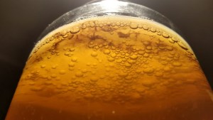 Kombucha: la bebida fermentada que beneficia a nuestro organismo