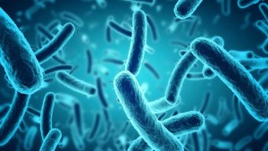Legionella: las claves para comprender el brote en un centro de salud tucumano