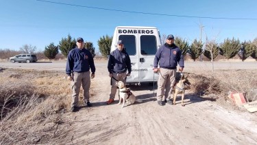 Abby y Loky, perros de búsqueda de personas