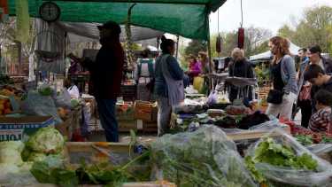 La mujer comercializaba sus productos sobre Casimiro Gómez (foto: archivo)