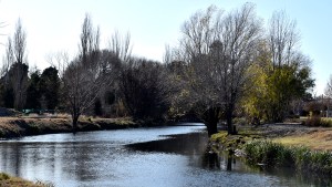Polémico: retirarán gran cantidad de árboles para avanzar en la obra del arroyo Durán en Neuquén