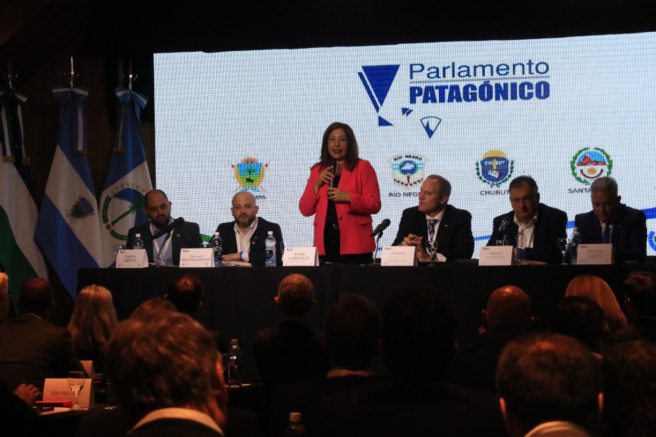 La gobernadora Arabela Carreras se refirió al ataque a Gendarmería Nacional en el Parlamento Patagónico. Foto: Gentileza