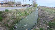 Imagen de Por derrame de líquidos cloacales, piden urgente saneamiento en dos barrios de Roca