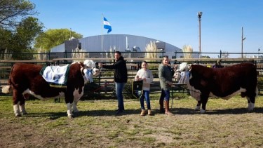 La cabaña maragata mostró todo su potencial durante la Expo de la Comarca.