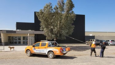 Voladura de techos, árboles caídos y cortes de luz: lo que el fuerte viento dejó en Neuquén
